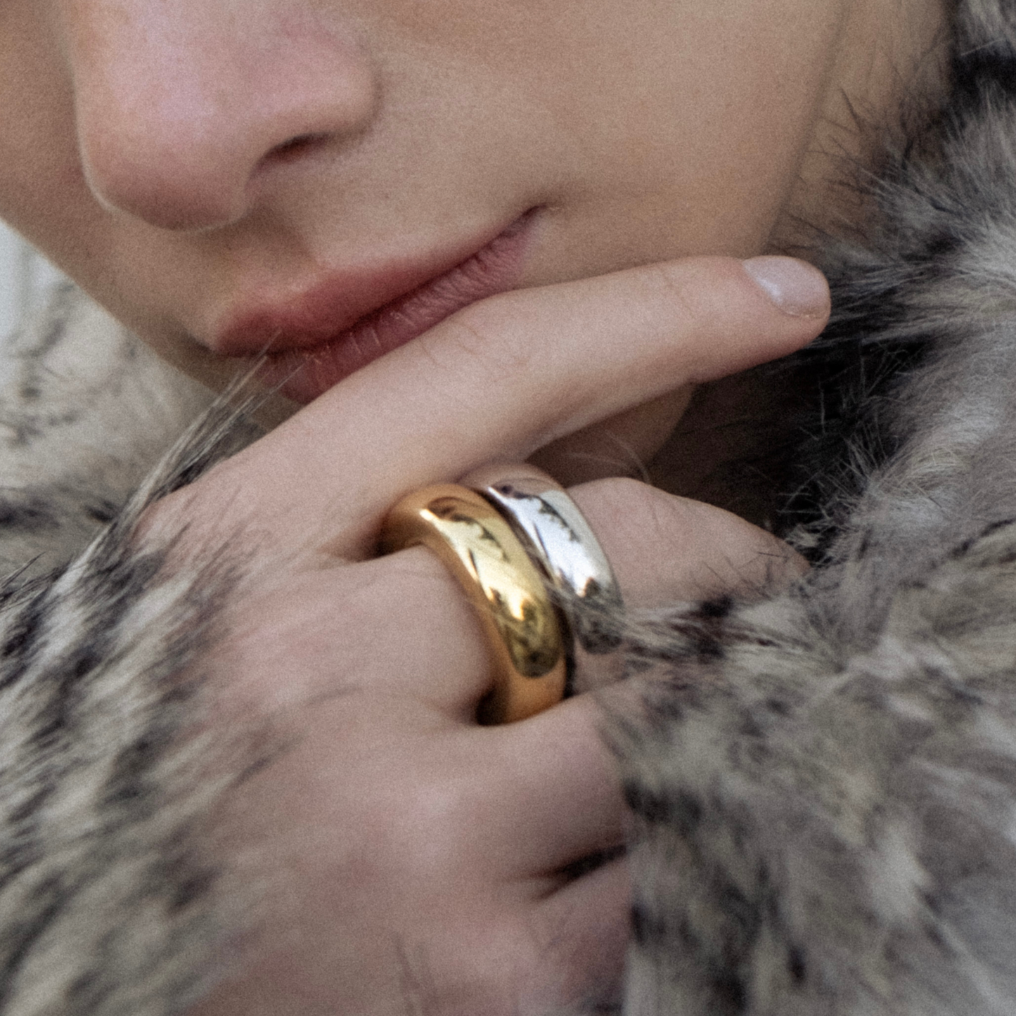 El anillo: conjunto oro y plata